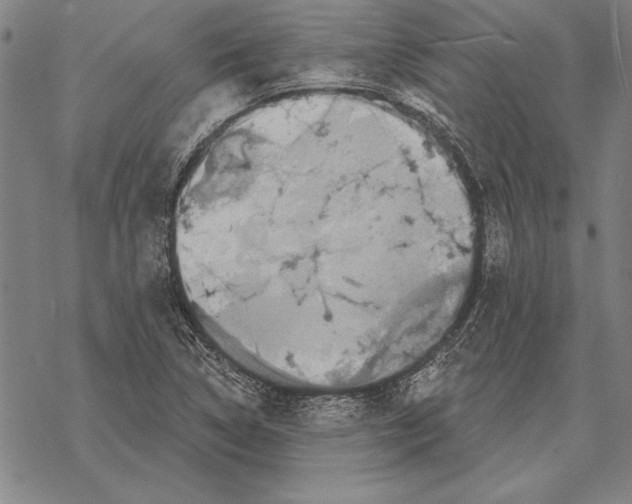 X0000068271314200605191818