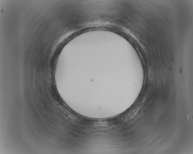 X0000068271315200605191818