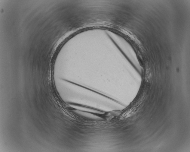 X0000068271316200605191818