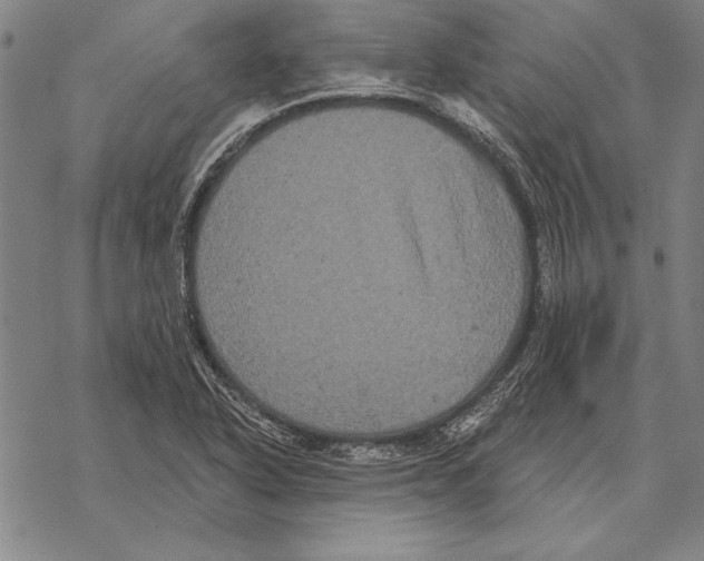 X0000068271318200605191818