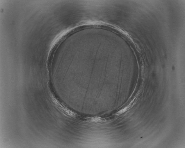 X0000068271319200605191818