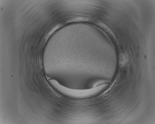 X0000068271321200605191818