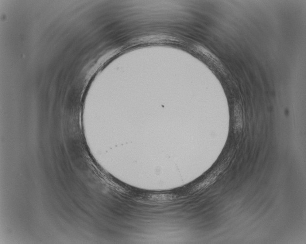 X0000068271322200605191818