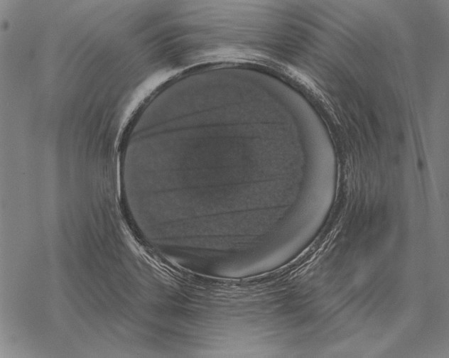 X0000068271323200605191818