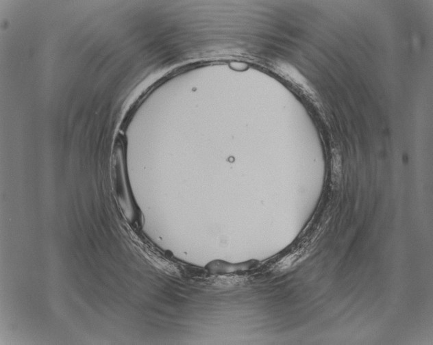 X0000068271324200605191818