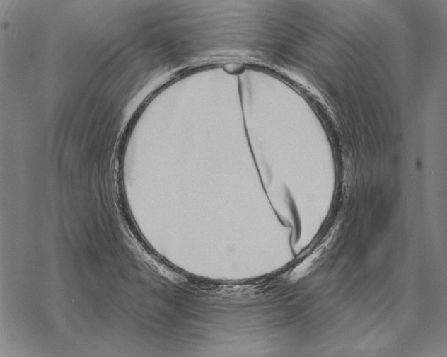 X0000068271325200605191818