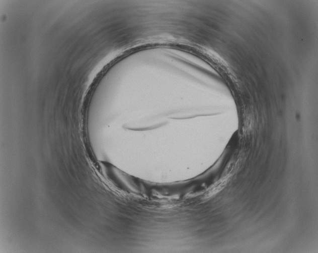 X0000068271326200605191818