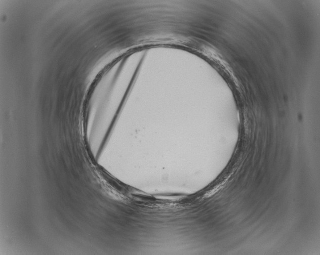 X0000068271328200605191818