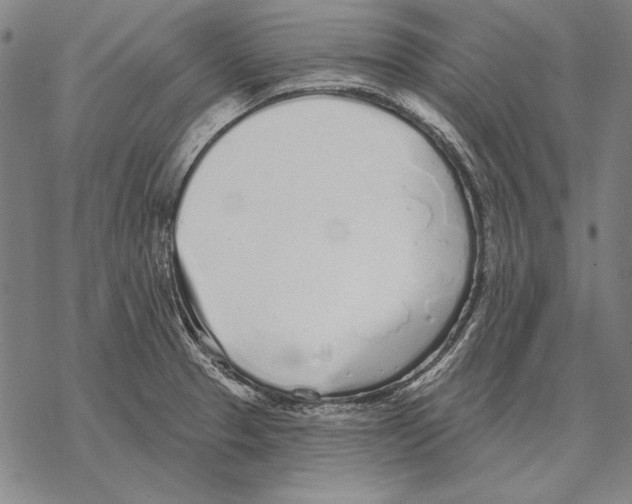 X0000068271329200605191818