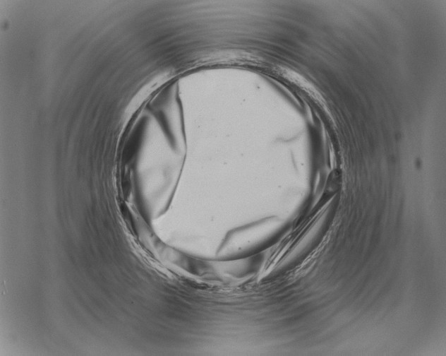 X0000068271330200605191818