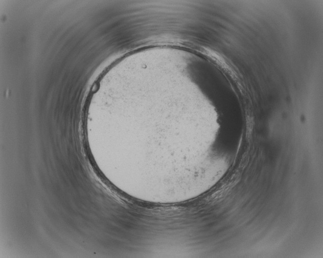 X0000068271331200605191818