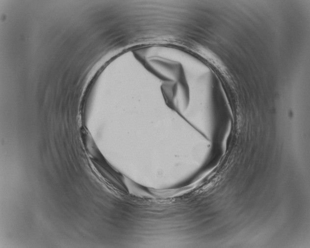 X0000068271332200605191818