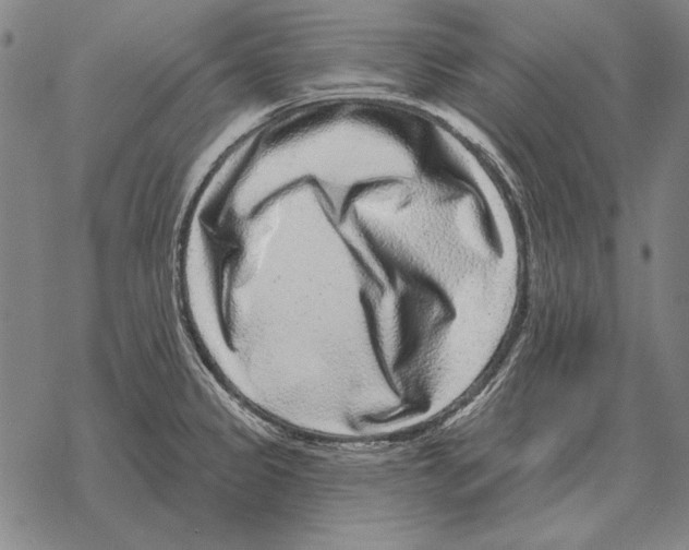 X0000068271333200605191818