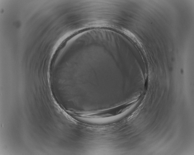 X0000068271334200605191818