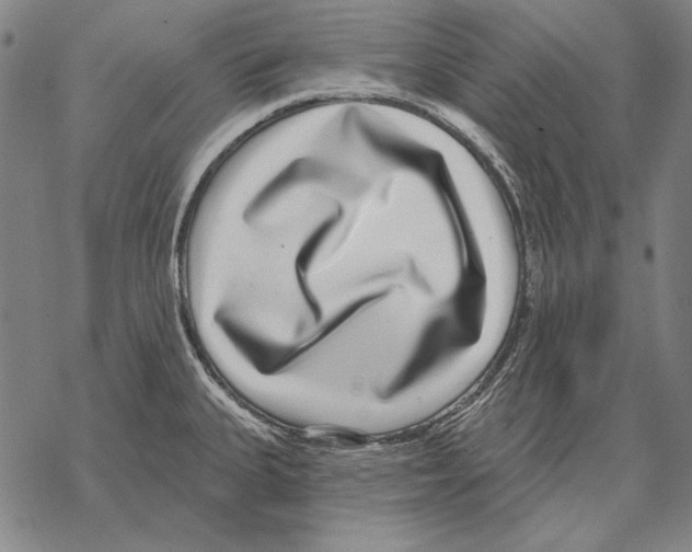 X0000068271335200605191818