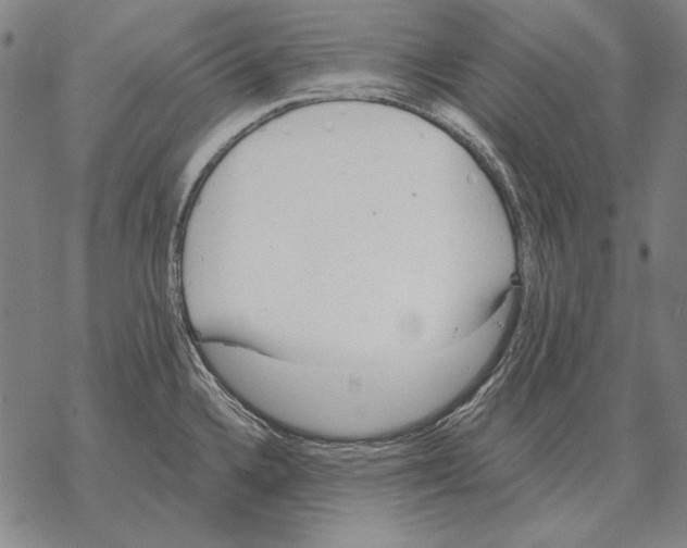 X0000068271336200605191818