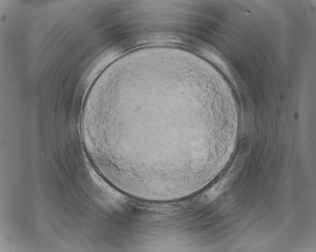 X0000068271338200605191818