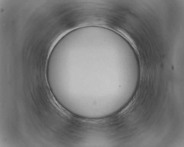 X0000068271340200605191818