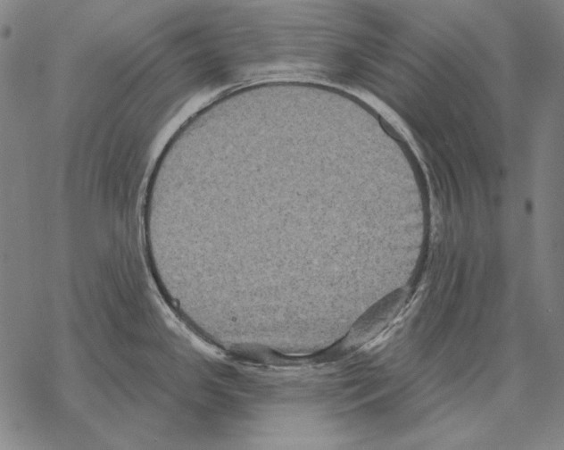 X0000068271341200605191818