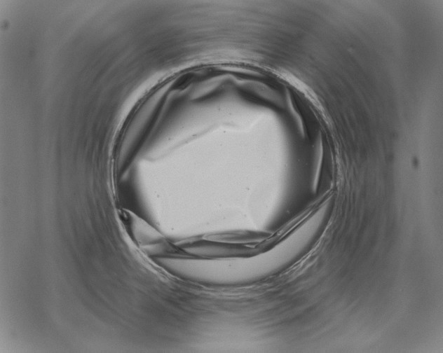 X0000068271342200605191818