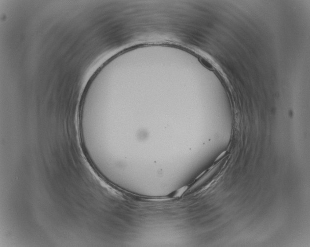 X0000068271343200605191818