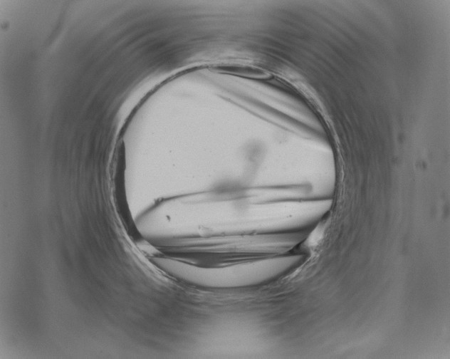 X0000068271344200605191818