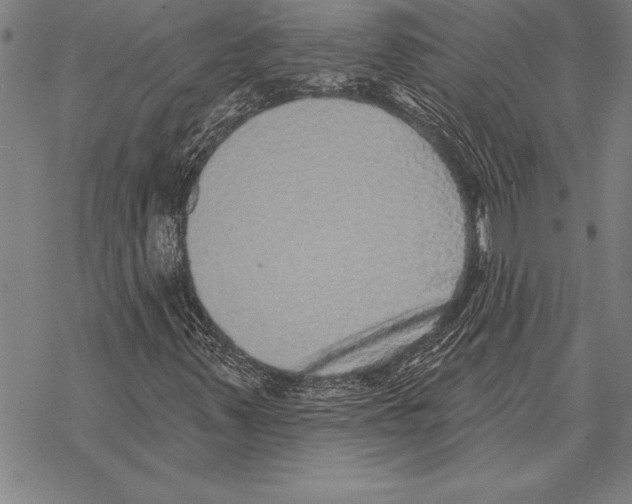 X0000068271347200605191818