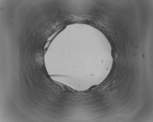 X0000068271348200605191818