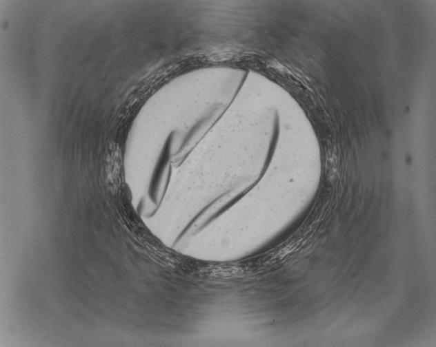 X0000068271349200605191817