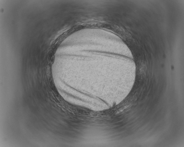 X0000068271350200605191817