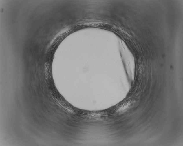 X0000068271351200605191817