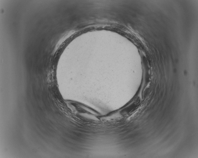 X0000068271352200605191817