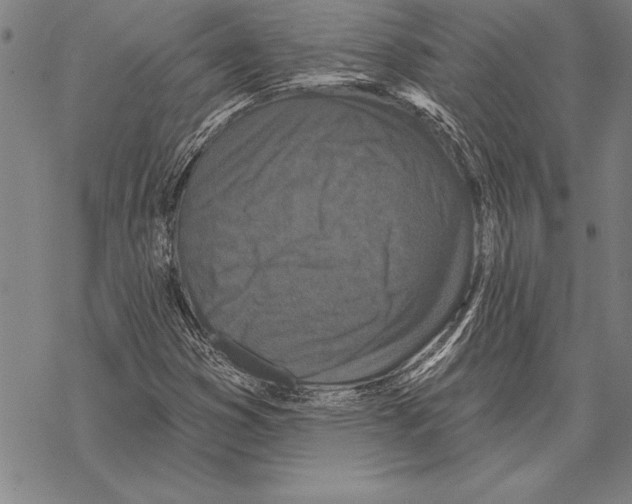 X0000068271353200605191817