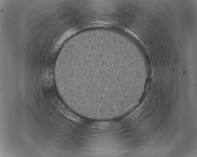 X0000068271355200605191817