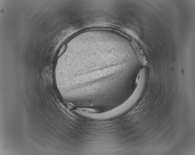 X0000068271356200605191817