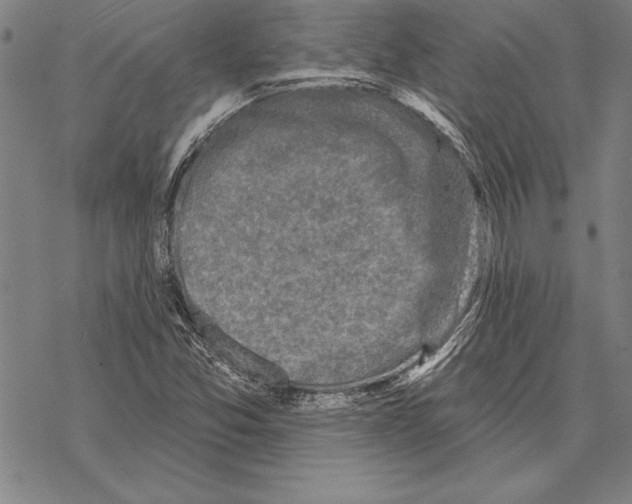 X0000068271357200605191817