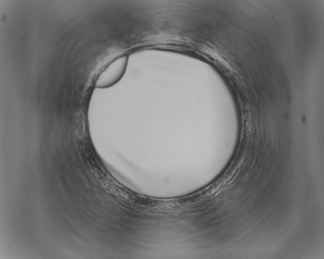 X0000068271358200605191817