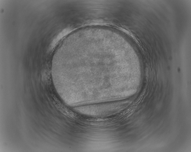 X0000068271359200605191817