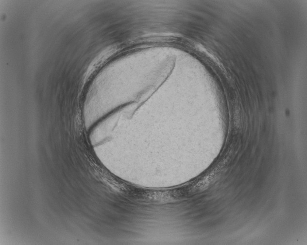 X0000068271362200605191817