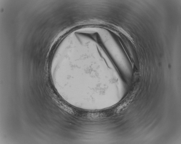 X0000068271364200605191817