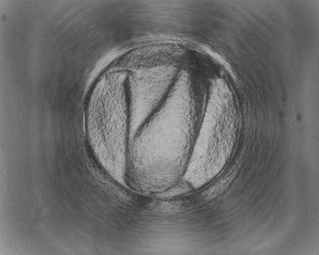 X0000068271365200605191817