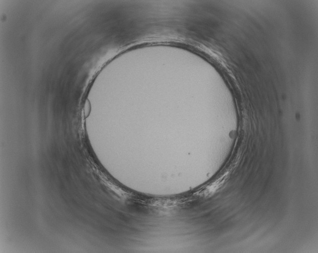 X0000068271366200605191817