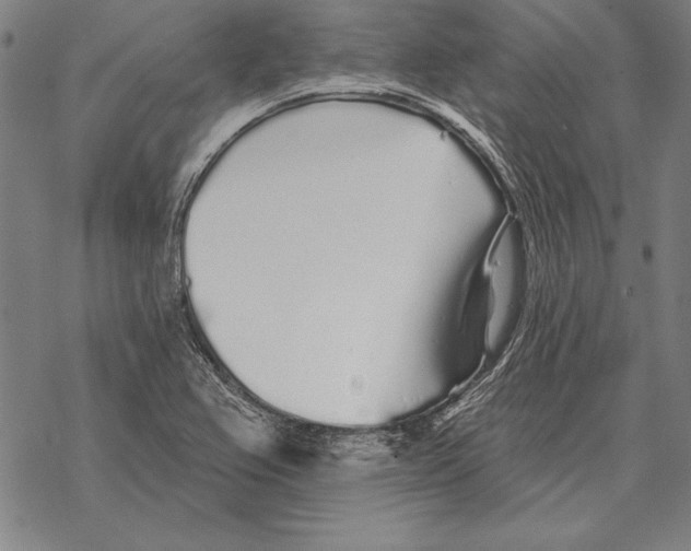 X0000068271367200605191817