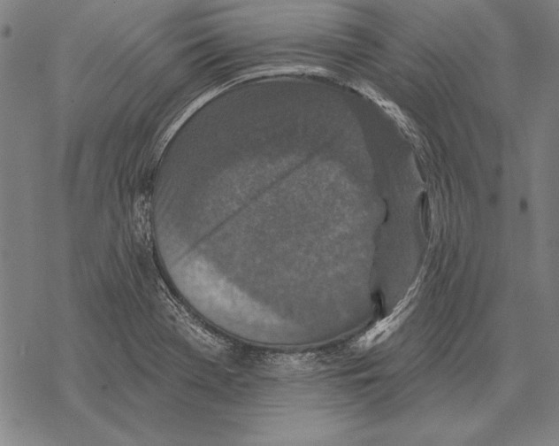 X0000068271369200605191817