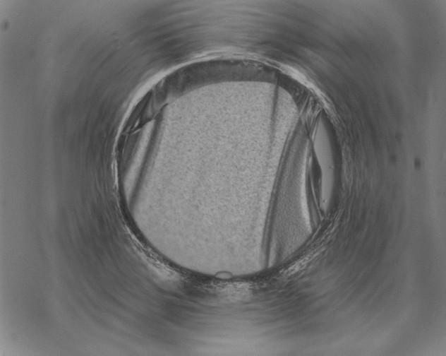 X0000068271372200605191817