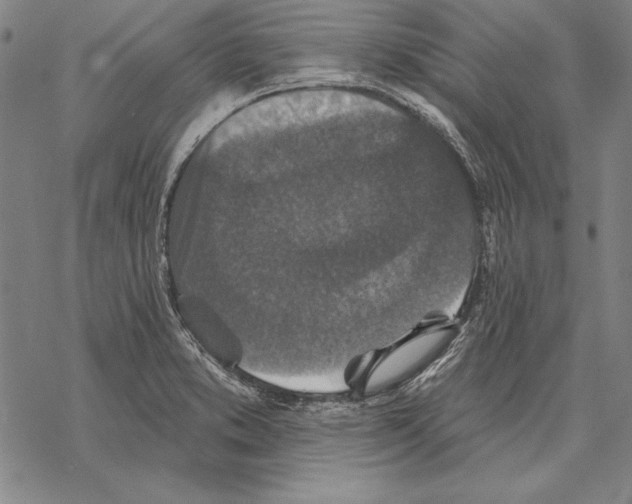 X0000068271373200605191817