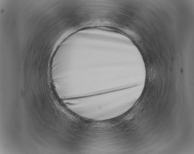 X0000068271374200605191817