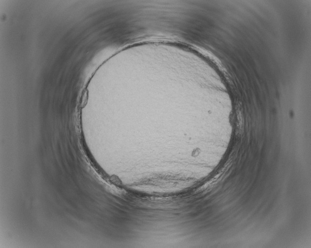 X0000068271375200605191817