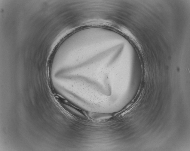 X0000068271376200605191817