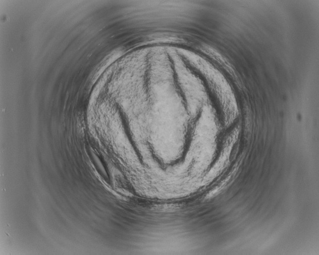 X0000068271377200605191817